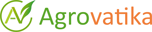 clients logo 01